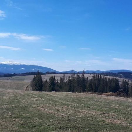 Przytulny Apartamentt Jablonka  エクステリア 写真