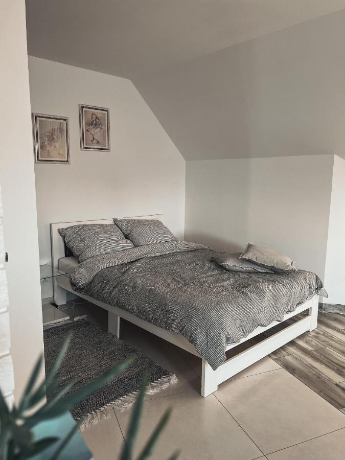 Przytulny Apartamentt Jablonka  エクステリア 写真